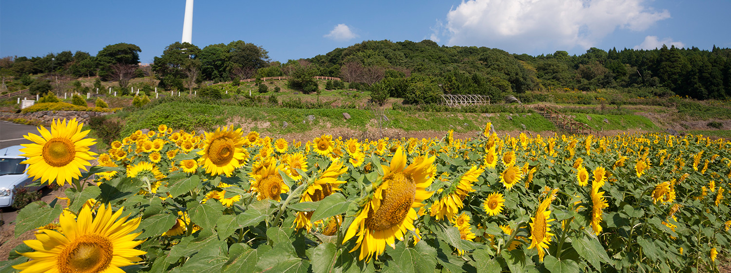 観光案内 長島町 ホームページ