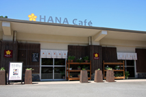 花カフェ長島1